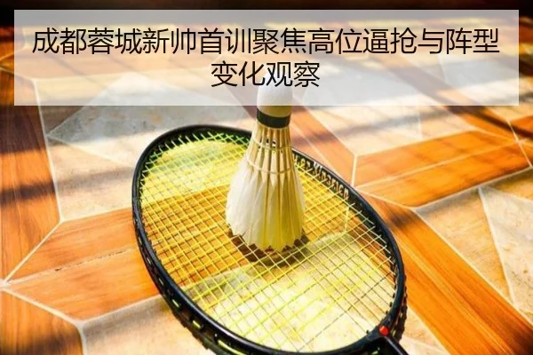 成都蓉城新帅首训聚焦高位逼抢与阵型变化观察
